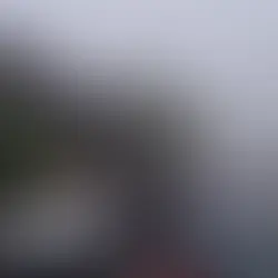 FEMINICÍDIO NA SERRA: MULHER É MORTA A FACADAS DENTRO DE CASA EM SÃO FRANCISCO DE PAULA