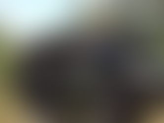 Forças Armadas executam o maior exercício militar do Brasil em 2021