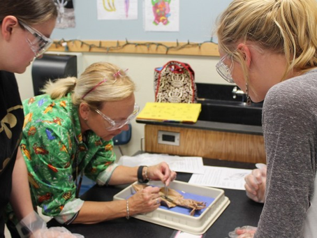 RS vai investir R$ 13,4 milhões em bolsas de iniciação científica e tecnológica