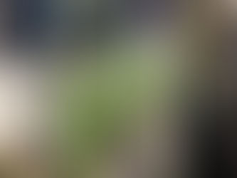 Motorista sofre acidente, sai do carro para pedir socorro e morre atropelada por ônibus no RS