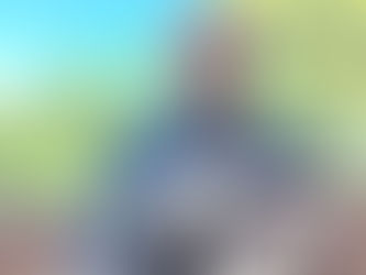 Câmara de São Leopoldo discute Tarifa Zero e mobilidade sustentável