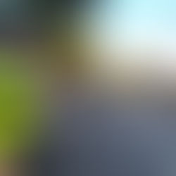 São Leopoldo: Câmara de Vereadores(as)  realiza nesta quarta-feira(01) audiência pública com a Brigada Militar