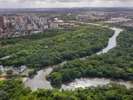 São Leopoldo: na semana do meio ambiente Semae vai promover ciclo de atividades