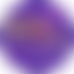 PT de São Leopoldo busca se encontrar no papel de oposição ao governo Heliomar Franco - Por Bado Jacoby