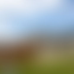 Data para julgamento do Núcleo 4 da trama golpista já foi solicitada por Alexandre de Moraes.