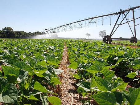 Mapa nacional mostra onde há maior potencial para agricultura no Brasil
