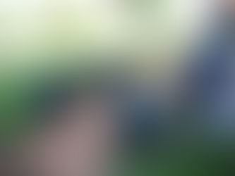 Projeto VerdeSinos promove oficina de plantio em evento da APAE em Sapucaia do Sul