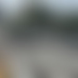 Acidente causa apenas danos materiais e deixa trânsito mais lento no Centro de São Leopoldo