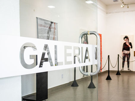 Semana da Luta Antimanicomial terá exposições, caminhada e debates em São Leopoldo