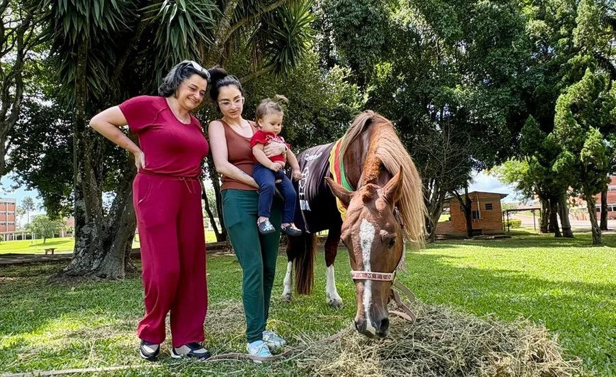 Ulbra abre visitas guiadas ao Cavalo Caramelo, ícone das enchentes de 2024