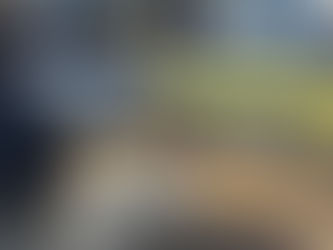 Grupo de argentinos e paraguaios é preso com carga milionária de cocaína no RS