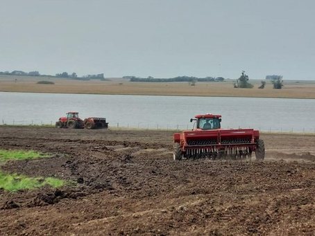 CMN autoriza renegociação de crédito rural para produtores gaúchos afetados pelas enchentes