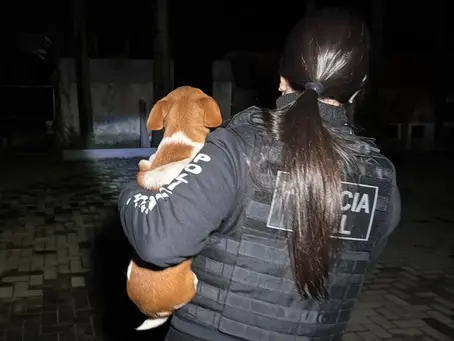 Operação investiga participação de policial civil em esquema de eutanásias de animais
