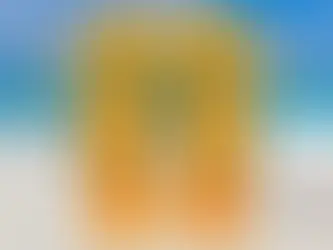 Entidade sindical aproveita polêmica das Havaianas para reforçar campanha pelo fim da escala 6×1