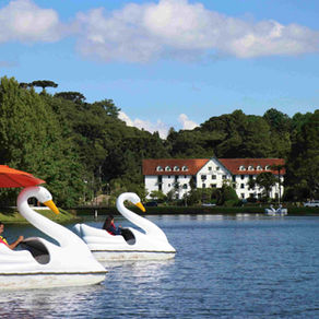 Campanha da Sicredi Pioneira incentiva turismo regional durante o verão