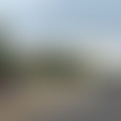 Prefeitura de São Leopoldo anuncia alterações no trânsito durante desfile de Carnaval do dia 20 de março