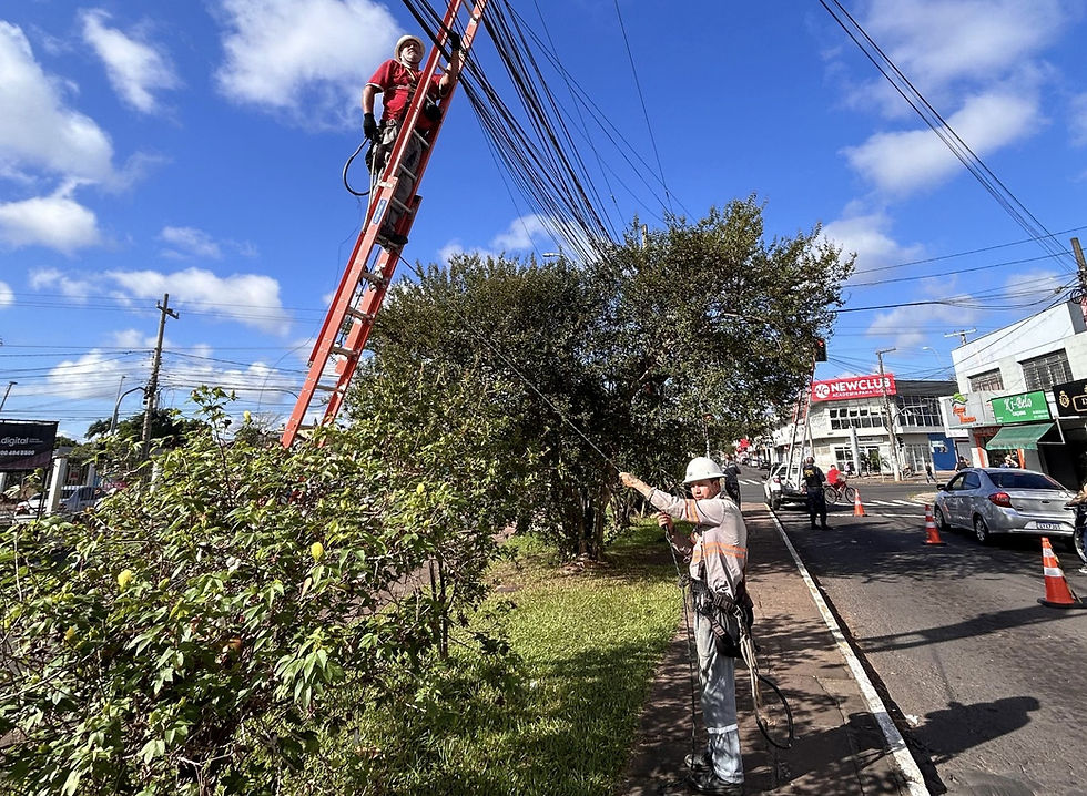 Operação Poste Risco Zero retira 650 kg de fios em avenida de São Leopoldo