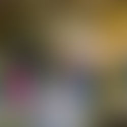 Estudantes de São Leopoldo têm aula sobre cultura gaúcha no Acampamento Farroupilha