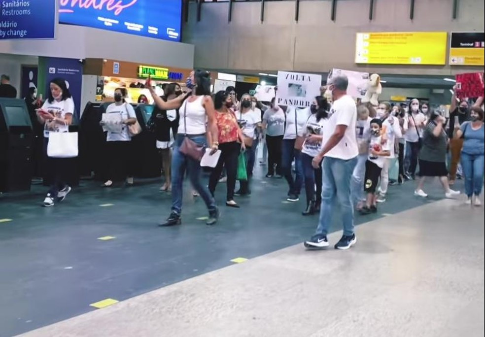 SumiÃ§o de cachorra Pandora completa 1 mÃªs; grupo protesta