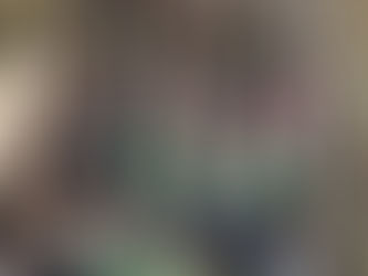 Projeto leva estudantes a experiências educativas no Museu Visconde de São Leopoldo