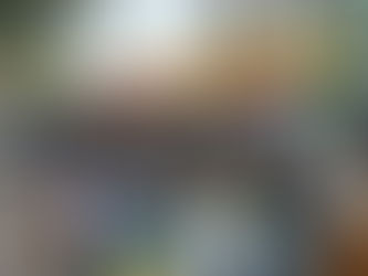 Rua de Lazer celebra o Dia de São Patrício com palco feminino em São Leopoldo