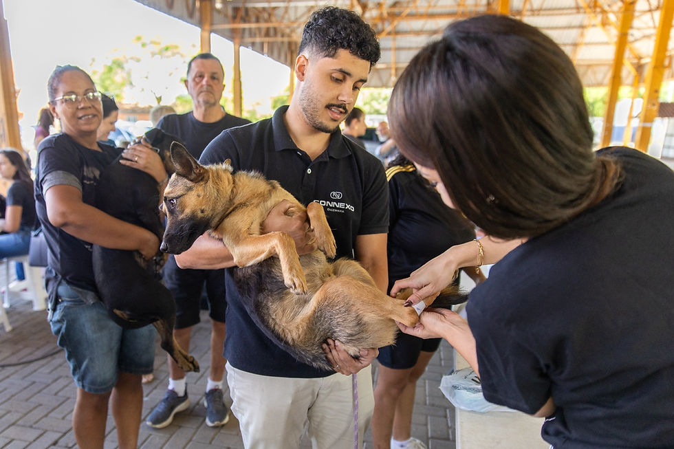 Foto: Pedro H. Tesch