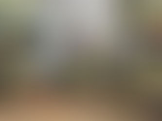 Entorpecentes avaliados em mais de R$ 110 mil são apreendidos pela Receita Federal nos Correios em Porto Alegre