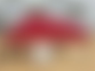 Brigada Militar apreende mais de 15 kg de maconha no bairro Feitoria