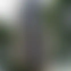 Segunda taxa mais alta do mundo: BC mantém juros básicos(taxa Selic) em 15% ao ano 