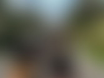 Chama crioula é transportada por 12 cavaleiros no percurso de Caxias do Sul até São Leopoldo