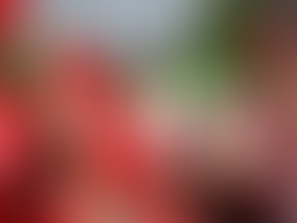 Polícia prende suspeito de matar três pessoas no ataque a assentamento do MST em SP