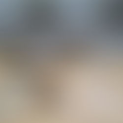 Brigada Militar prende suspeitos de roubo após troca de tiros no bairro Scharlau