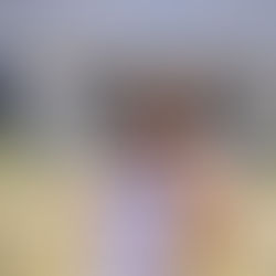 Vereador Anderson Etter aciona Ministério Público após rejeição de projeto sobre vale-transporte 