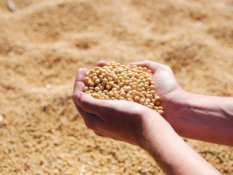 Agropecuária despenca 8% e puxa queda do PIB brasileiro