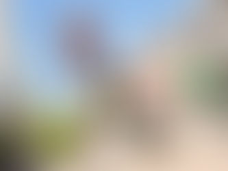 Mudanças no estacionamento da Rua Independência geram críticas e preocupações com segurança no trânsito