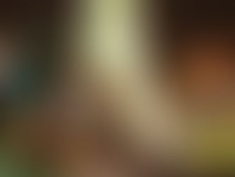 2º Natal da Feitoria vai movimentar a comunidade neste fim de semana; confira a programação