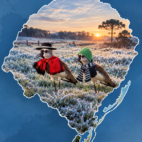 Feriado de 7 de Setembro será marcado por frio intenso e risco de geada no Rio Grande do Sul