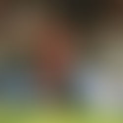 Inter perde para o São Paulo e fica à beira do rebaixamento