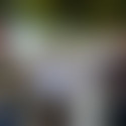 Projeto da Rua Coberta da Feitoria começa a sair do papel após uma década de espera