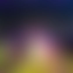 Sesc São Leopoldo encerra 2025 com recorde de público e 407 ações culturais e educativas