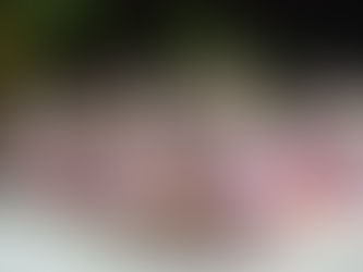 São Leopoldo escolhe corte do Carnaval 2026 neste domingo