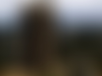 Servidores do Banco Central devem entregar 500 cargos no final de janeiro