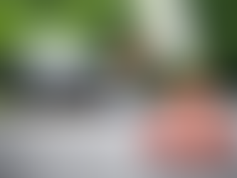 Seguro DPVAT não será cobrado novamente em 2022