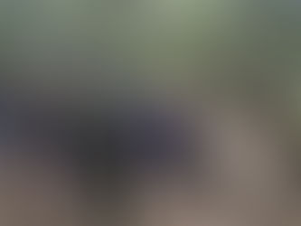 Estudantes da Escola Municipal Paul Harris fazem trilha no Parque Imperatriz