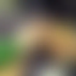 TRE-RS alerta eleitores sobre necessidade de biometria para 2026