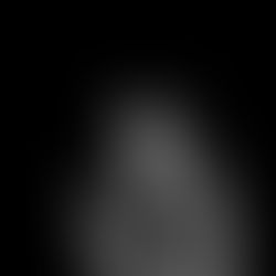 Na toca do coelho preto - Por Magali Schmitt