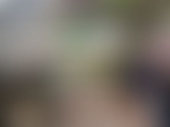 Drummond e Quintana: a história do banco de bronze na Praça da Alfândega