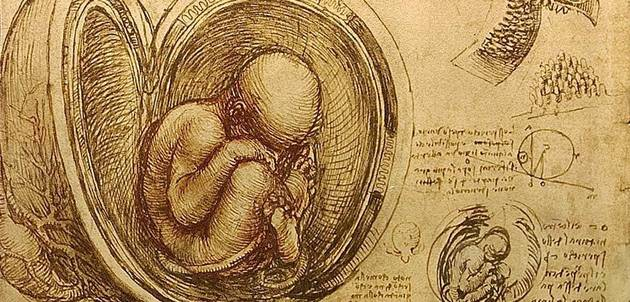 Desenho de anatomia de um útero com feto, do início do século XVI, de Leonardo da Vinci