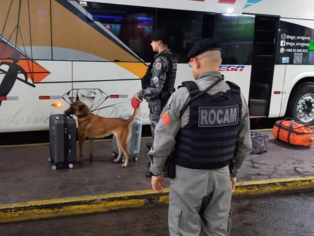 Operação Viagem Segura coíbe tráfico de drogas e armas na rodoviária de Porto Alegre