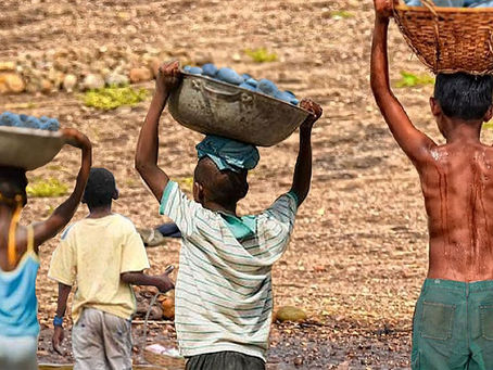 Mais de 6 mil crianças são resgatadas do trabalho infantil em 2 anos